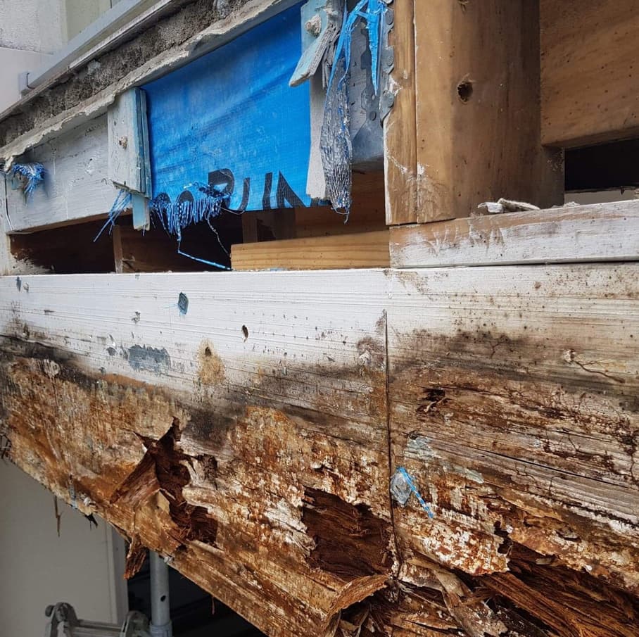 Major Structural Defects project photo